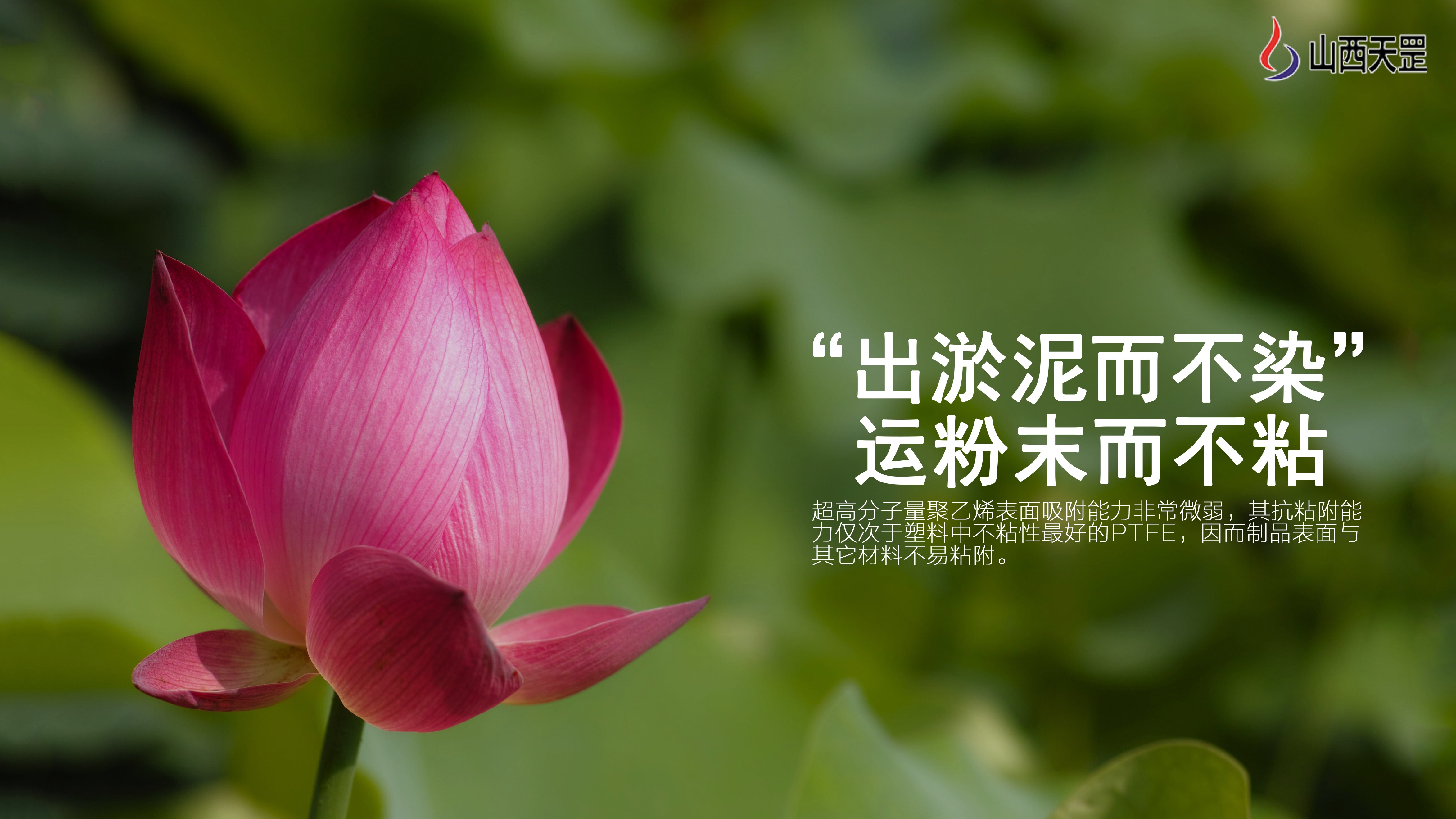 關于超高分子量聚乙烯，你知道多少？（下）